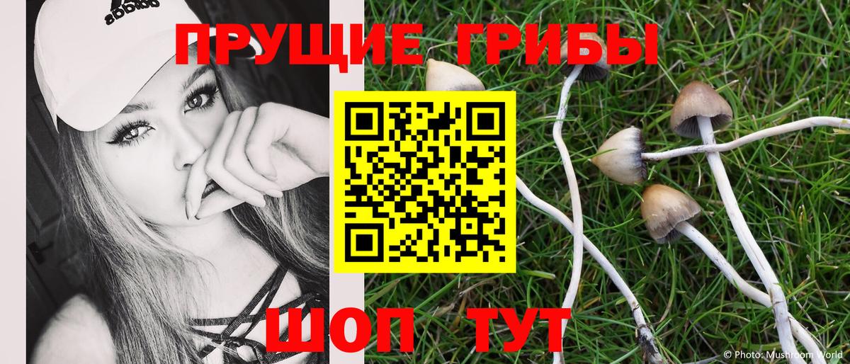 Псилоцибиновые грибы прущие грибы  Вход с VPN  Кашира 