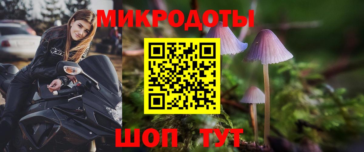 Галлюциногенные грибы мицелий Кашира